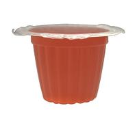 Komodo Jelly Pots Strawberry Refill Pack for Crickets, Beetles, Cockroaches