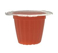 Komodo Jelly Pots Strawberry Refill Pack for Crickets, Beetles, Cockroaches and Millipedes 30 Piece Nutrient Rich Insect Feed Vitamin Boost Natural Safe Healthy Treat