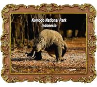 Komodo National Park Indonesia Tourist Souvenir Refrigerator Magnet Fridge Decorations Magnet
