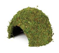 Komodo Large Natural Moss Cave for Reptiles - L