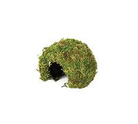 Komodo Small Natural Moss Cave for Reptiles - S