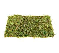 Komodo Small Natural Moss Mat for Reptiles - 2 Count - S