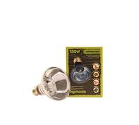 Komodo Neodymium Daylight Spot Lamp ES, 150 Watt
