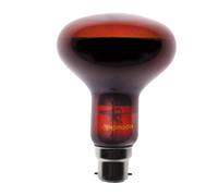 Komodo Night Spot Bulb R63 BC, 75 Watt
