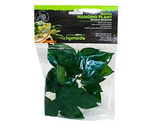 Komodo Philodendron Hanging Plant 30cm