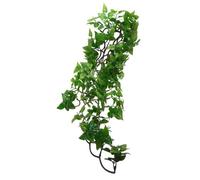 Komodo Philodendron Plant, 60 cm, Green