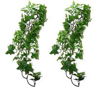 Komodo Philodendron Plant, 60 cm, Green (Pack of 2)