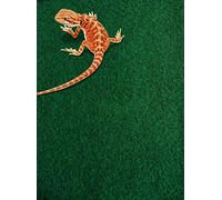 Komodo Reptile Carpet Absorbent Soft Habitat Decor Indoor Use for all Terrariums and Vivarium's - 60 x 50cm