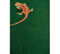 Komodo Reptile Carpet Habitat Substrate for Tortoises, Dragons, Geckos, Snakes (120 x 60 cm Carpet)