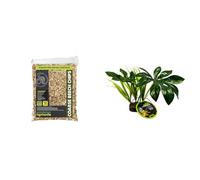 Komodo Reptile Habitat Bundle - Coarse Beech Chips Substrate 12L + Jungle Canopy Artificial Plant, Natural Bedding & Lifelike Decor for Terrariums & Vivariums