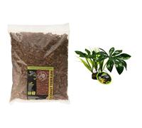Komodo Reptile Habitat Bundle - Coconut Terrain Substrate 12L + Jungle Canopy Artificial Plant, Natural Bedding & Lifelike Decor for Terrariums & Vivariums