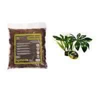 Komodo Reptile Habitat Bundle - Habitat Moss 3L + Jungle Canopy Artificial Plant, Natural Moisture Control & Lifelike Decor for Terrariums & Vivariums