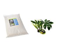 Komodo Reptile Habitat Bundle - Natural Sand Substrate 5.03kg + Jungle Canopy Artificial Plant, Safe Bedding & Lifelike Decor for Terrariums & Vivariums