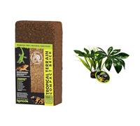 Komodo Reptile Habitat Bundle - Tropical Terrain Compact Brick Substrate + Jungle Canopy Artificial Plant, Natural Bedding & Lifelike Decor for Terrariums & Vivariums