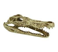 Komodo Reptile Terrarium Realistic Alligator Skull Ornament Decor | Easy to Clean Under Water Aquarium or Dry Habitat Decoration Accessory, 9 Inches