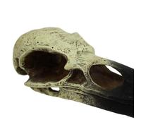 Komodo Reptile Terrarium Realistic Raven Skull Ornament Decor | Easy to Clean Under Water Aquarium or Dry Habitat Decoration Accessory, Medium, 6 Inches
