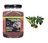 Komodo Tortoise Care Bundle - Complete Holistic Tortoise Diet Dandelion 680g + Jungle Canopy Artificial Plant, Balanced Nutrition & Enriched Habitat Setup for Reptiles