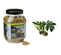 Komodo Tortoise Care Bundle - Complete Holistic Tortoise Diet Fruit & Flower 680g + Jungle Canopy Artificial Plant, Balanced Nutrition & Enriched Habitat Setup for Reptiles