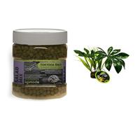 Komodo Tortoise Care Bundle - Complete Holistic Tortoise Diet Salad Mix 680g + Jungle Canopy Artificial Plant, Balanced Nutrition & Enriched Habitat Setup for Reptiles
