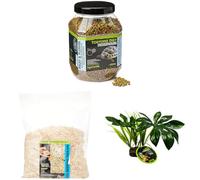 Komodo Tortoise Diet Fruit & Flower 680g + Aspen Bed Terrain 12L + Jungle Canopy Plant | Balanced Nutrition, Natural Bedding & Habitat Décor for Tortoises & Reptiles