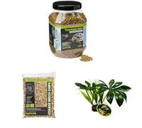 Komodo Tortoise Diet Fruit & Flower 680g + Coarse Beech Chips 12L + Jungle Canopy Plant | Balanced Nutrition, Durable Bedding & Habitat Décor for Tortoises & Reptiles