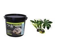 Komodo Tortoise Nutrition & Habitat Decor Bundle - Complete Holistic Tortoise Diet Fruit & Flower 2kg Tub + Jungle Canopy Artificial Plant for Terrariums & Vivariums