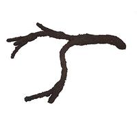 Komodo Tropical Vine Branch, Large,Brown