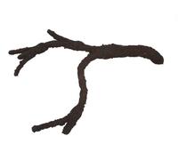 Komodo Tropical Vine Branch, Small
