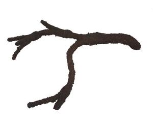 Komodo Tropical Vine Branch, Small