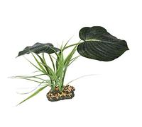 Komodo Woodland Canopy,Green