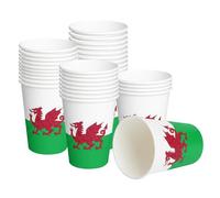 Komonee 24 x Wales Cymru White Paper Cups 250ml (9oz) - Welsh Disposable Plastic Hot & Cold Drink Cups for World Cup, Football, Euros, Rugby, Parties & Adult Novelty