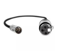 Kondor Blue KB-MXLR-16-Bk audio cable 0.4 m XLR mini XLR (3-pin) Black