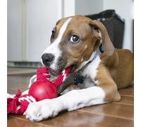 Kong Ball with Rope -