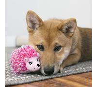 KONG Comfort Hedgehug Assorted Colour | Size: Extra Small