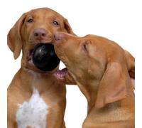 KONG Extreme Ball with Hole - Durable Natural Rubber Dog Fetch Toy for Training