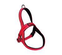 Kong Norwegian Harness Dog Large Lead - Red