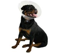 KONG Quickfit Dog and Cat Collar - 25cm