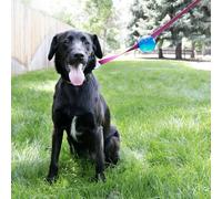 KONG TagAlong Ball for Dogs - Medium