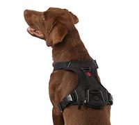 KONG Ultra Durable Waste Bag Harness (Medium, Black)