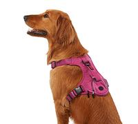 KONG Ultra Durable Waste Bag Harness (Medium, Pink)