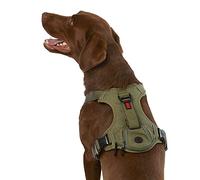 KONG Ultra Durable Waste Bag Harness (XL, Green)