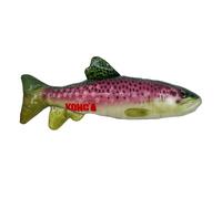 KONG Wild Shield Fish Shaped Dog Toy for Medium Breeds (Trout)