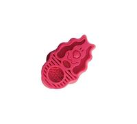 KONG ZoomGroom Raspberry