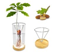 KONIDUN Glass Acorn Sprouting Seed Starter Vase - Acorns Tree Growing Kit with Base, Hydroponics Terrariums Pot Deco Indoor Unusual Gift for Gardening Lovers (Not Included Acorn