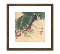 Kono Bairei Barn Swallow Japan Woodblock 8X8 Inch Square Wooden Framed Wall Art Print Picture with Mount Artery8 Brown One Size