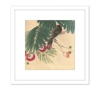 Kono Bairei Barn Swallow Japan Woodblock 8X8 Inch Square Wooden Framed Wall Art Print Picture with Mount Artery8 White One Size