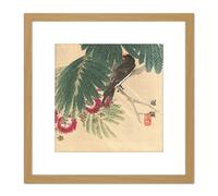 Kono Bairei Barn Swallow Japan Woodblock 8X8 Inch Square Wooden Framed Wall Art Print Picture with Mount Artery8 Light Oak One Size