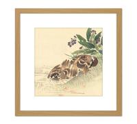 Kono Bairei Bathing Tree Sparrow Japan Woodblock 8X8 Inch Square Wooden Framed Wall Art Print Picture with Mount Artery8 Light Oak One Size