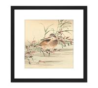 Kono Bairei Stream Bird Japan Woodblock 8X8 Inch Square Wooden Framed Wall Art Print Picture with Mount Artery8 Black One Size