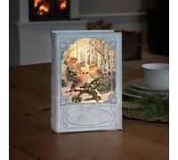 Konstsmide Christmas Book with Birds LED table decoration water lantern